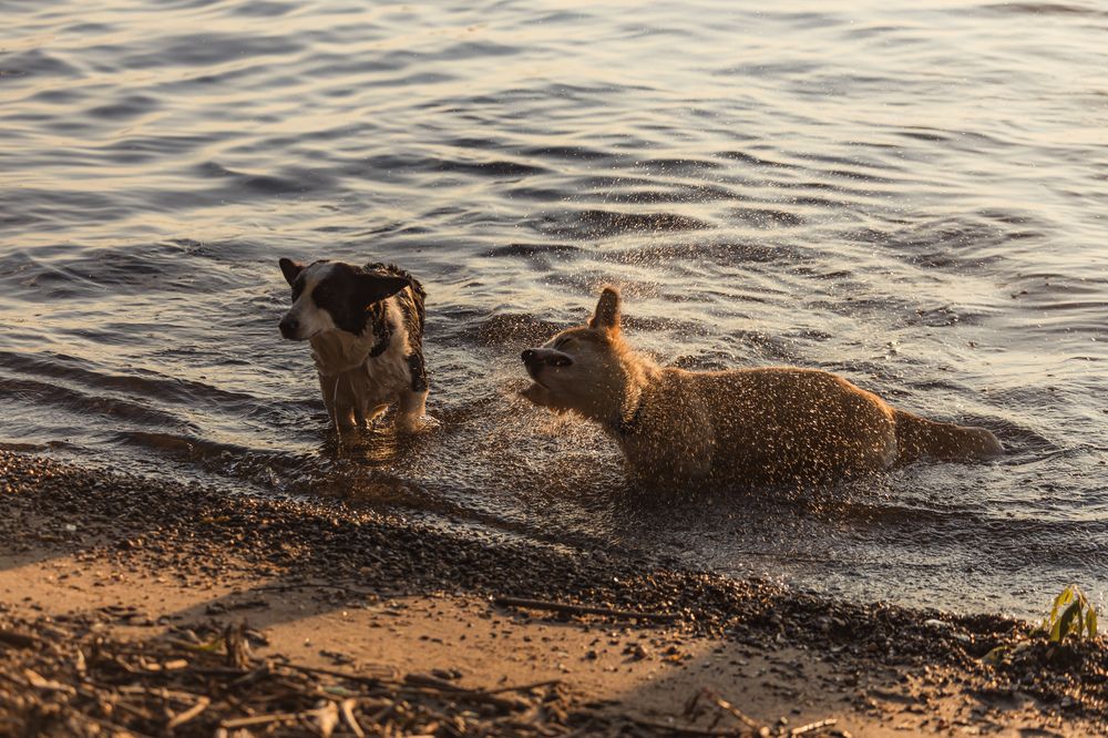 Photograph by Алексей Чеботарев