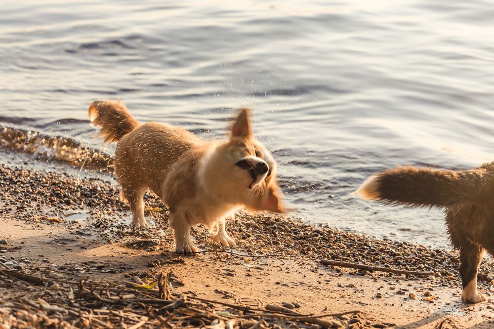 Photograph by Алексей Чеботарев