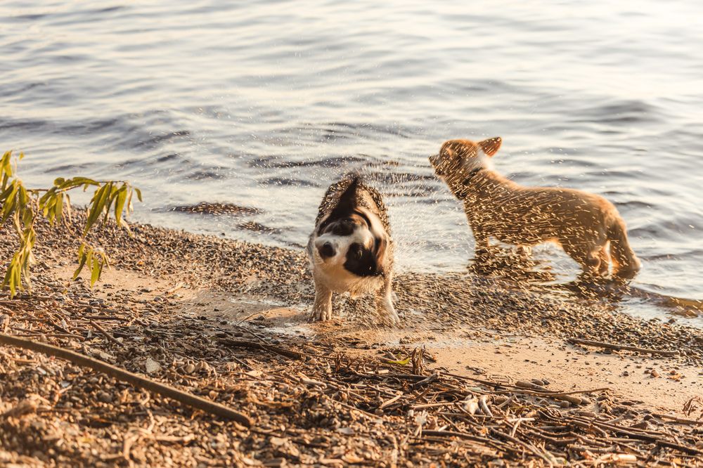 Photograph by Алексей Чеботарев