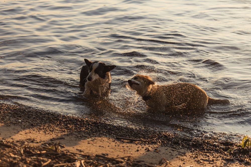 Photograph by Алексей Чеботарев