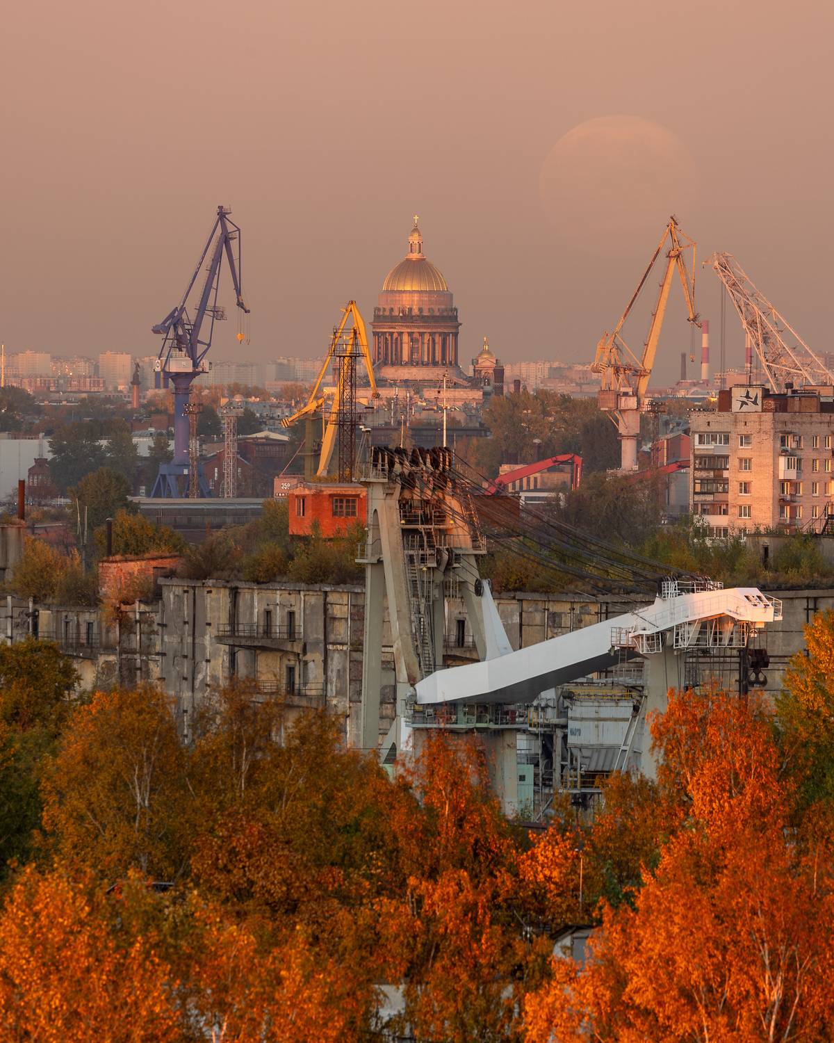 Фотография #12442371