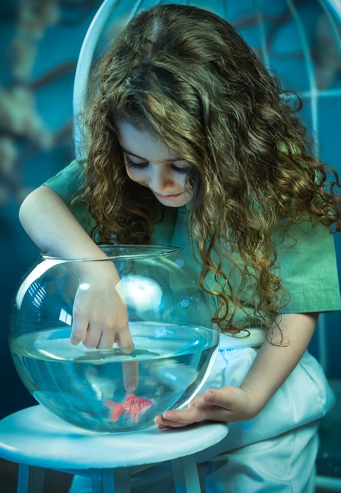 Photograph by Niloofar Almasiyeh