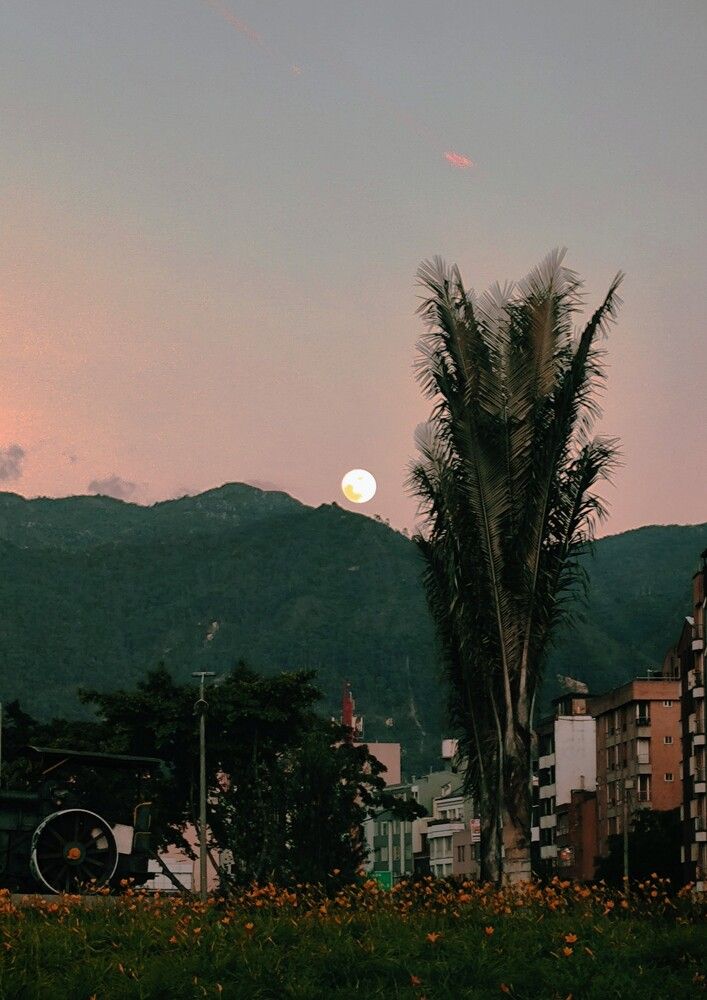 Photograph by Roger Laverde