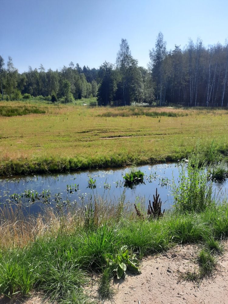 Photograph by Илья Беликов