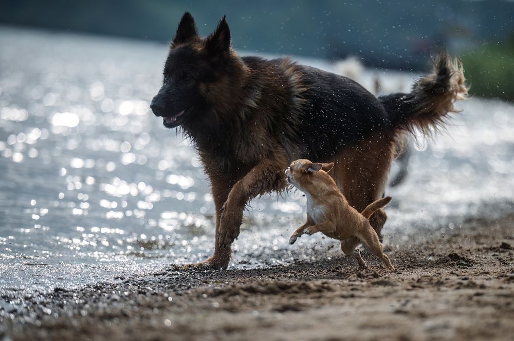 Photograph by Алексей Соколов