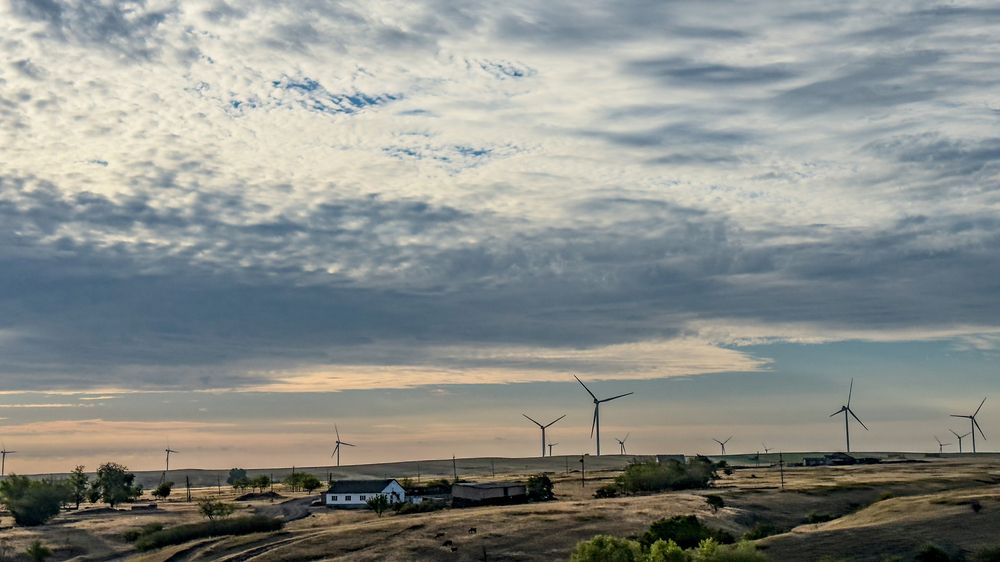 Photograph by Ekaterina Slepneva