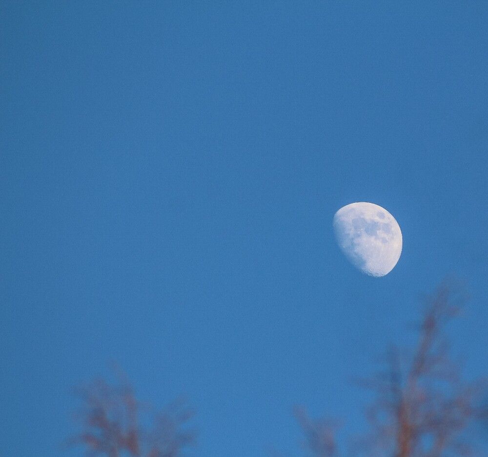 Photograph by Kim Natasha