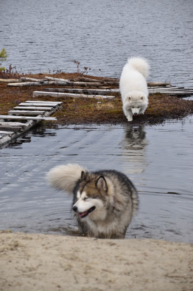 Фотография автора Анастасия Руднева