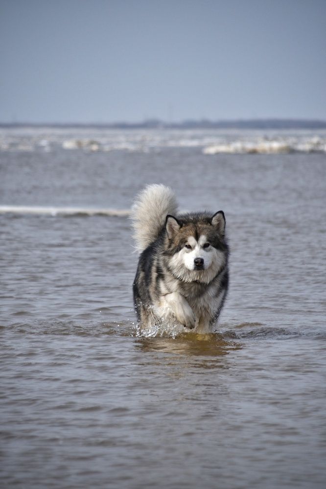 Фотография автора Анастасия Руднева