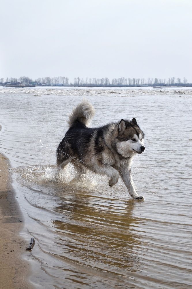 Фотография автора Анастасия Руднева