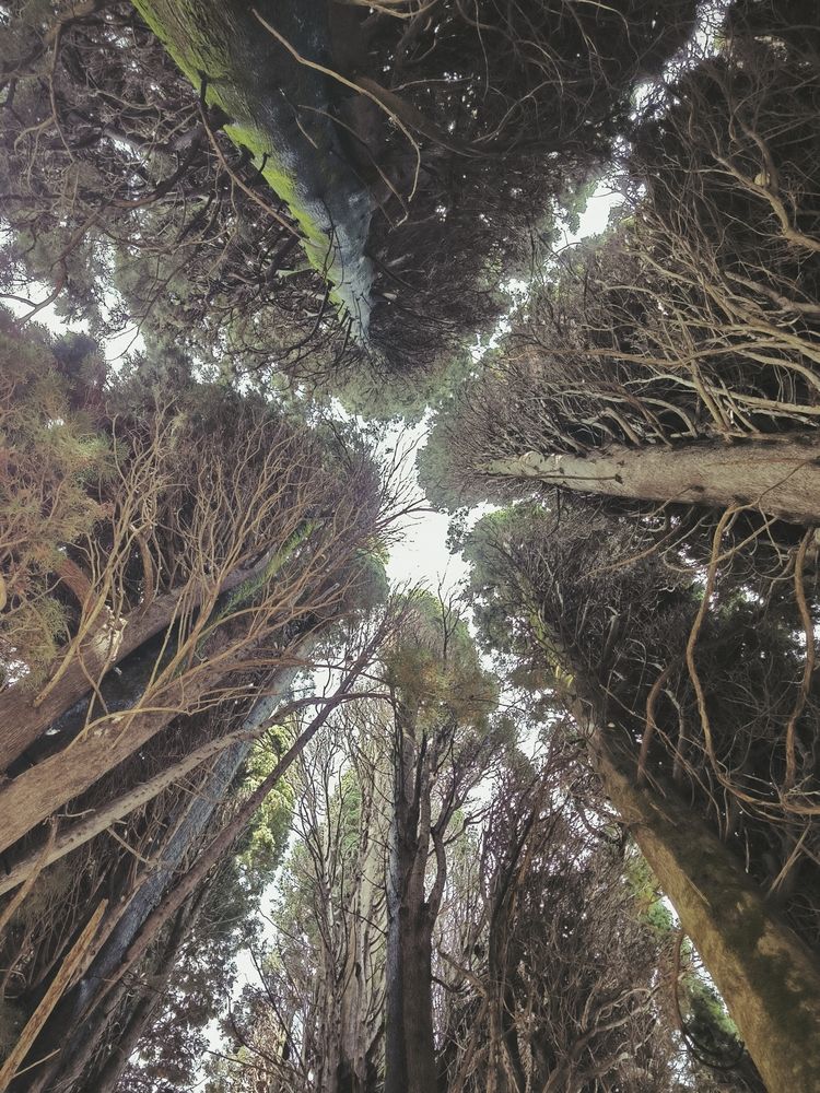 Photograph by Полина
