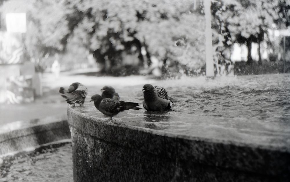 Photograph by Алексей Бузанов