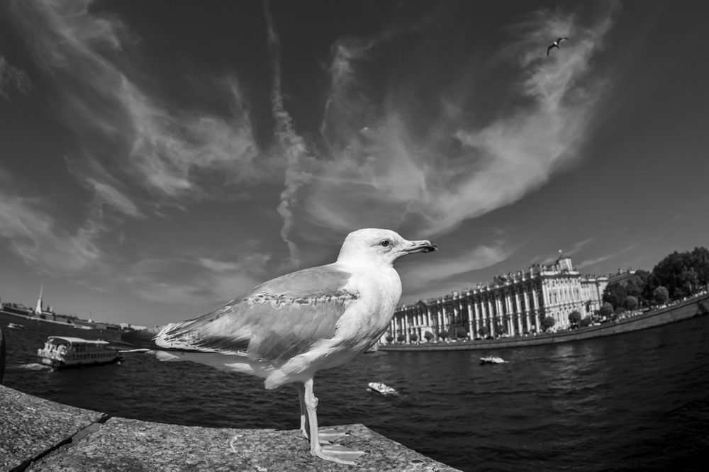 Фотография автора Dimitri Bakhtadze