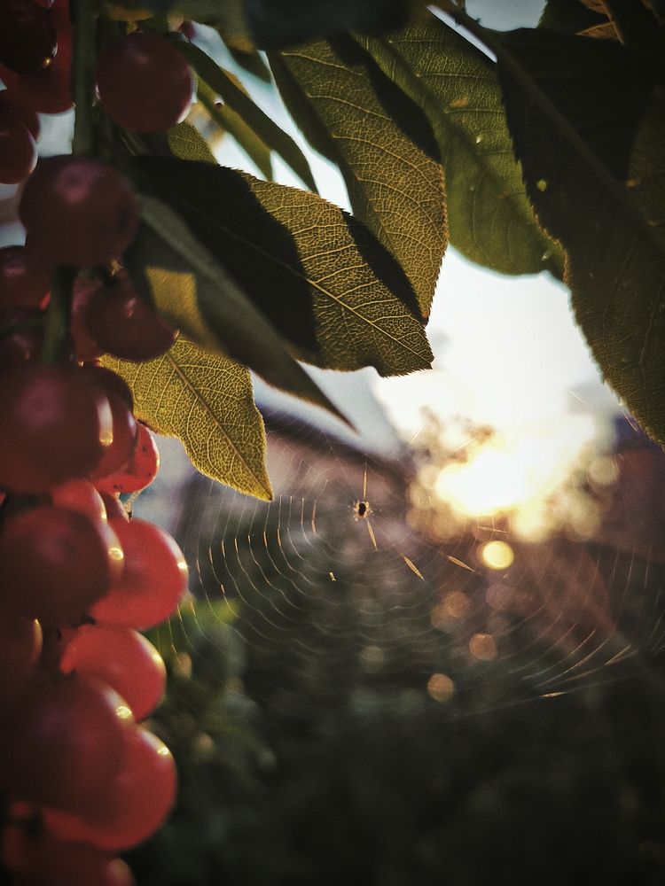 Photograph by Полина