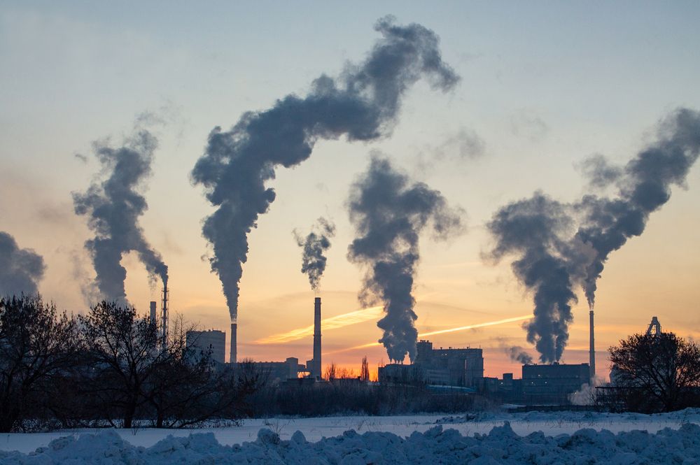 Фотография автора Дарья Рогозина