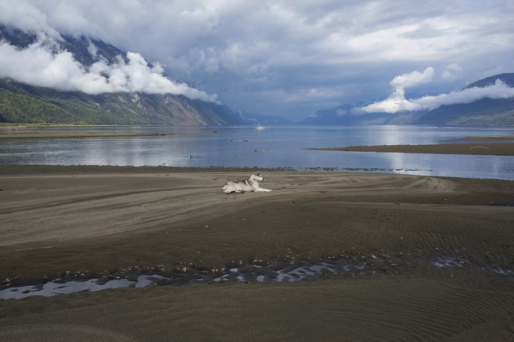 Photograph by Наталья Дроздова