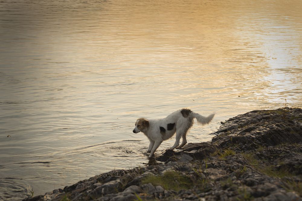 Photograph by Наталья Дроздова