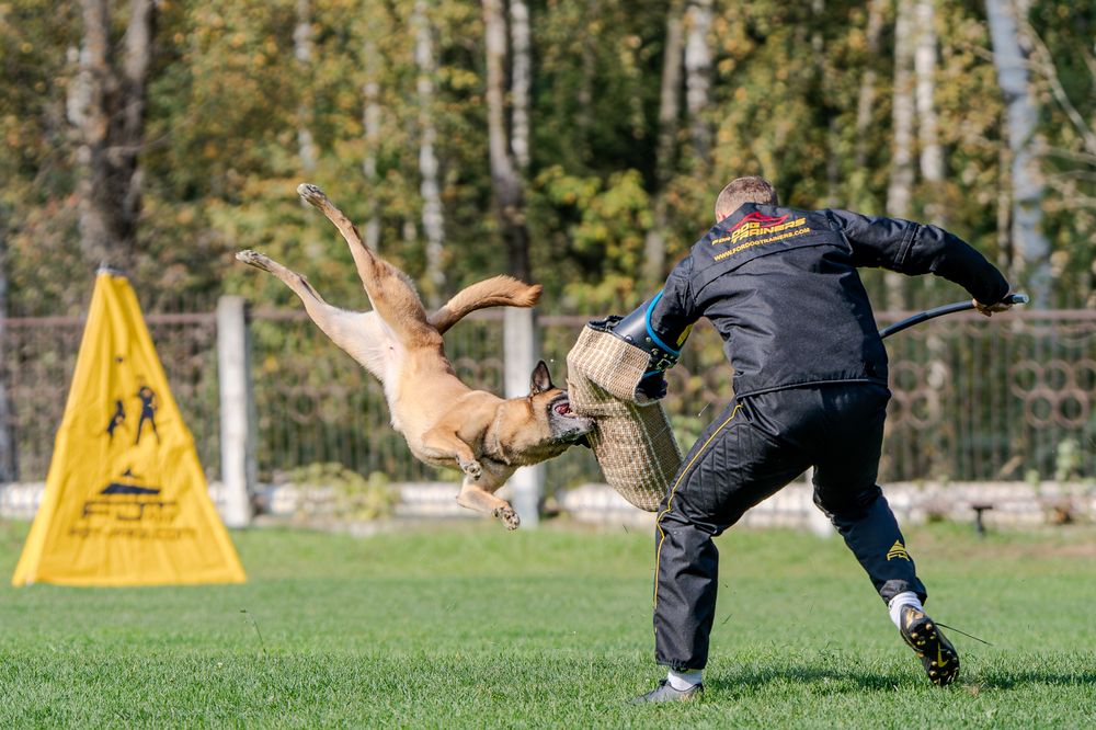 Photograph by Сергей Жиркевич