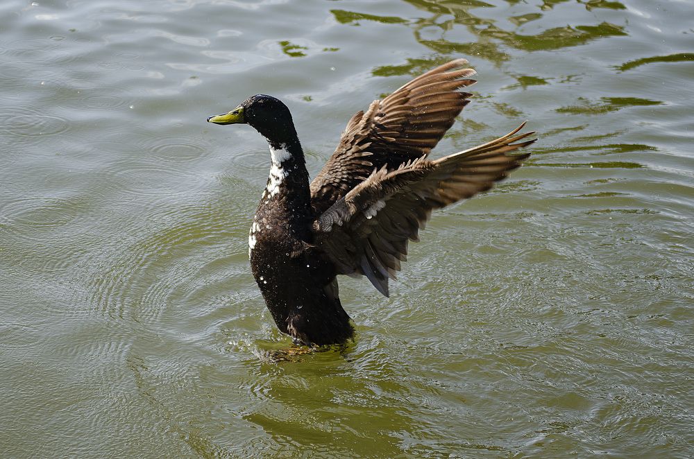 Photograph by Plohov Sergei