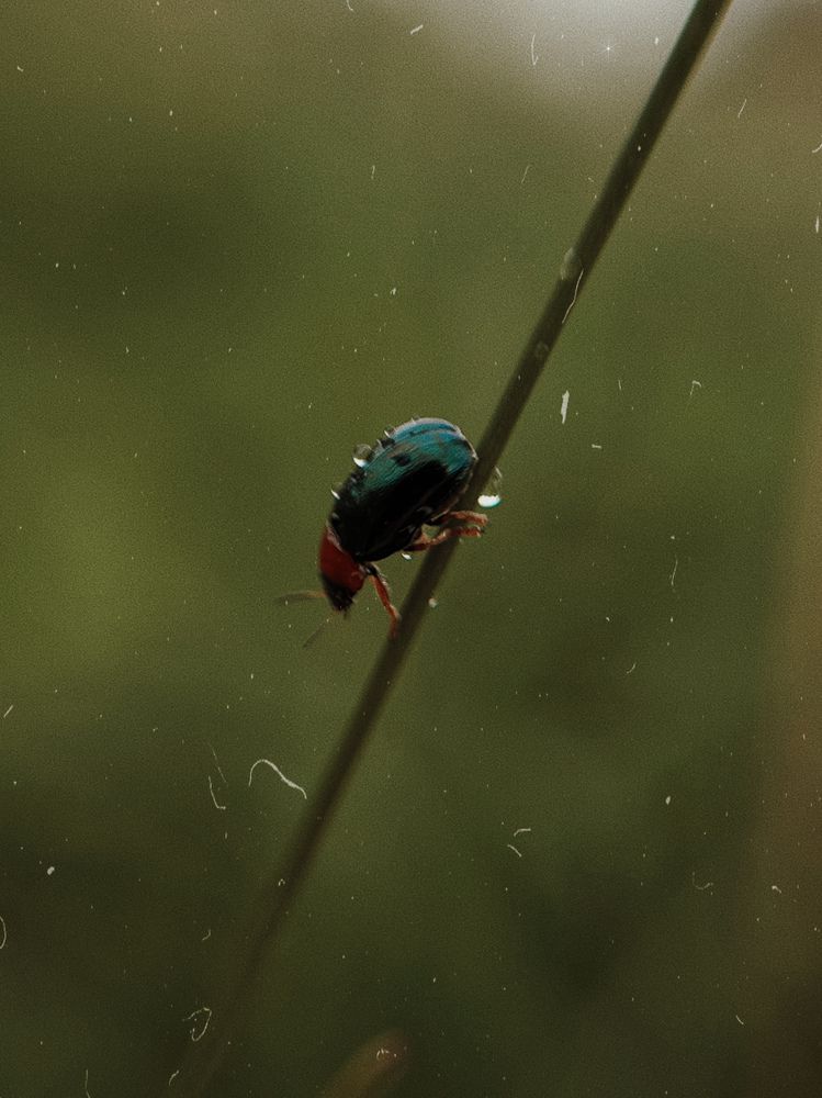 Photograph by Татьяна