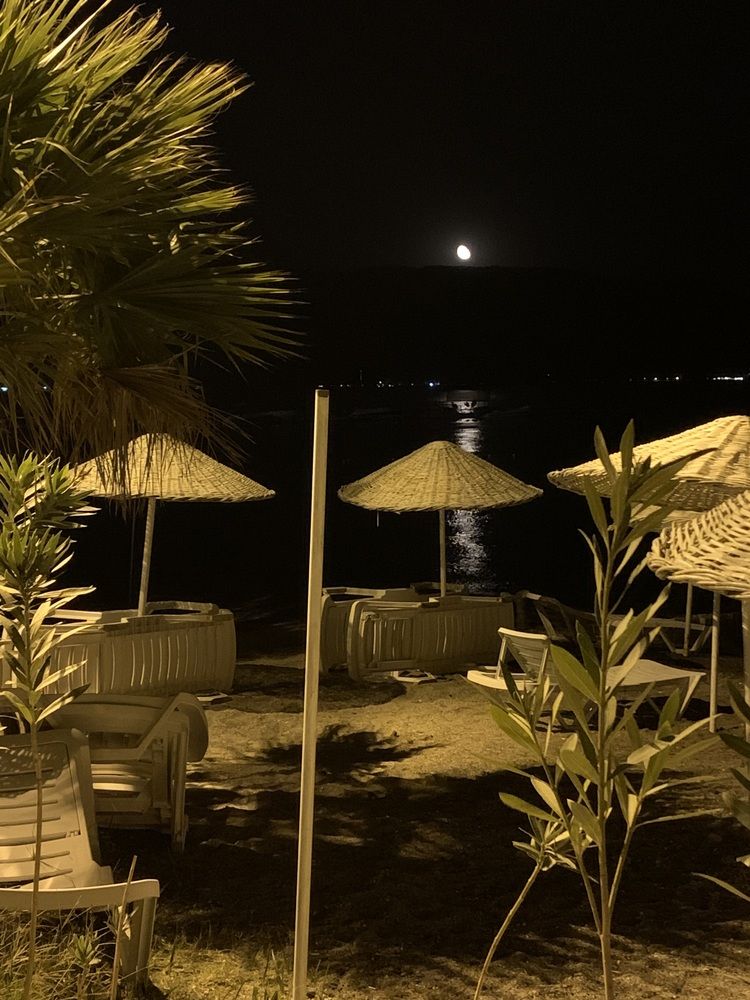 Photograph by Игорь Ребров