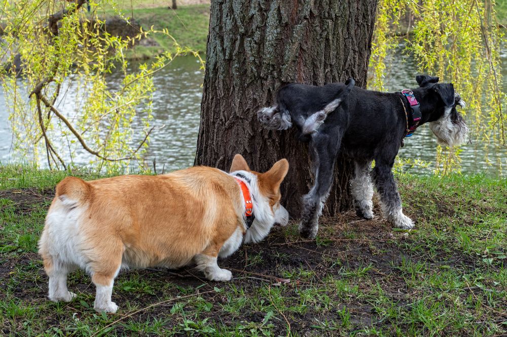 Фотография автора Валерий Бычков