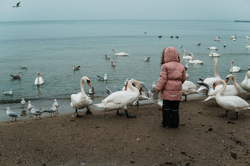 Photograph by Kristiyan Dragoev