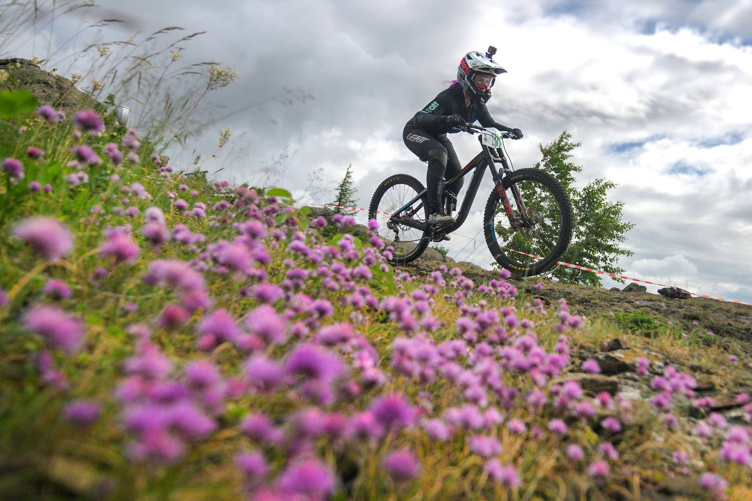 Фотография #12443245