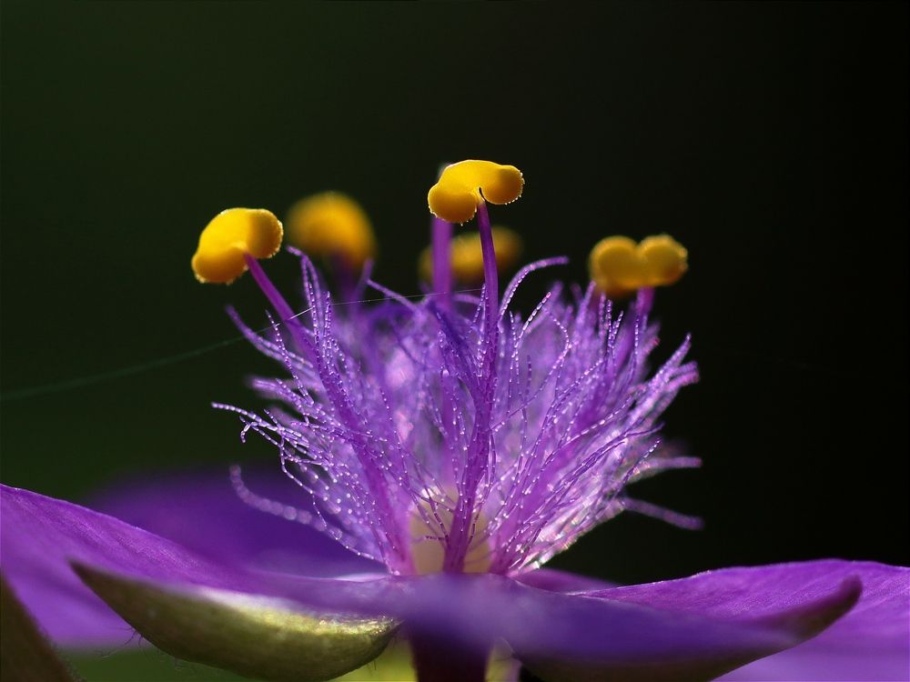 Photograph by Светлана Богомолова