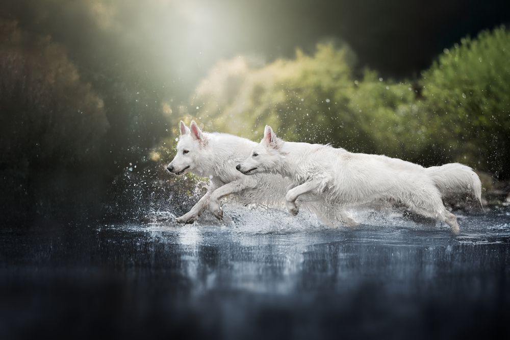 Photograph by Paula Casado Gutierrez