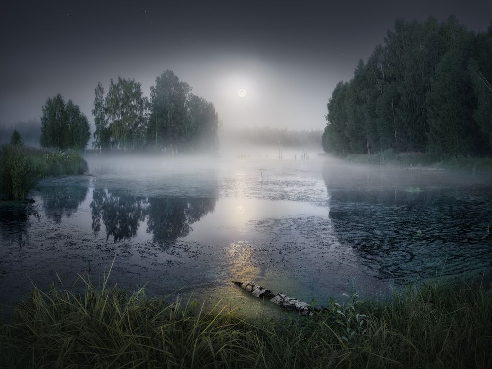 Photograph by Dmitry Medyancev