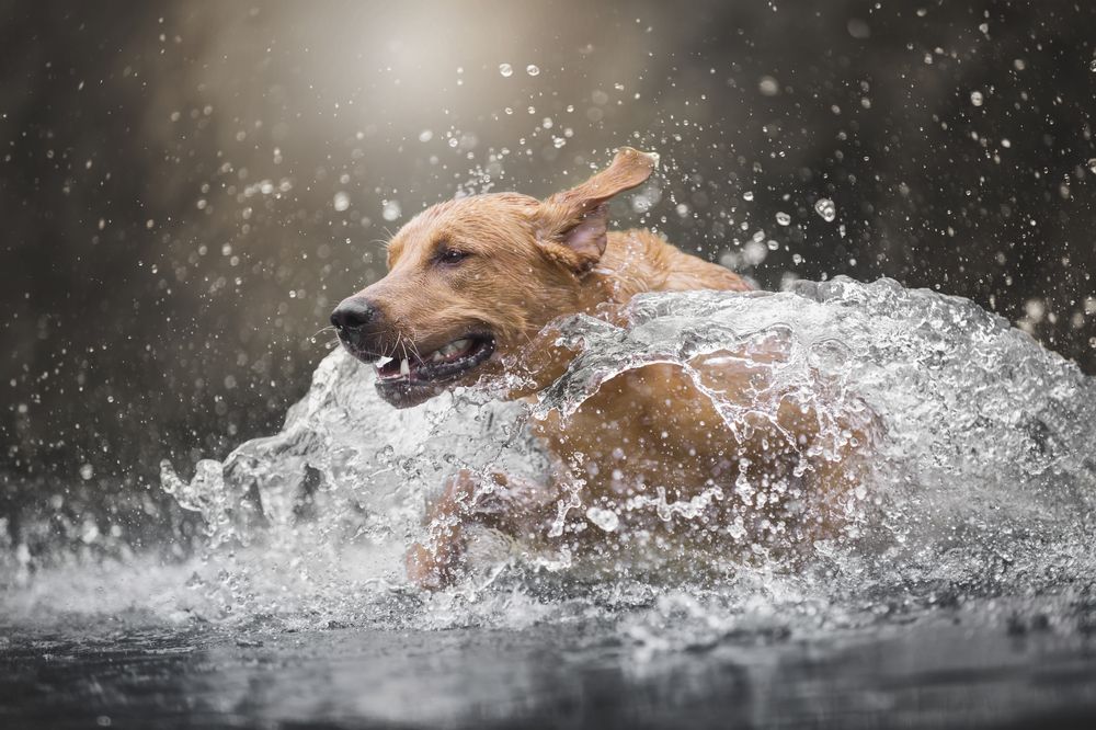 Photograph by Paula Casado Gutierrez