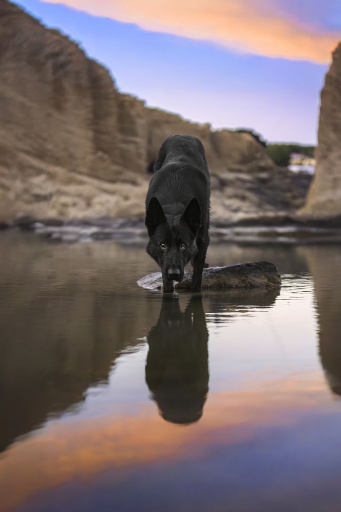 Photograph by Paula Casado Gutierrez