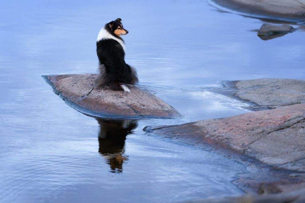 Photograph by Татьяна Фролова