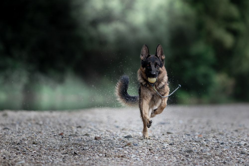 Photograph by Mateusz Chojnacki