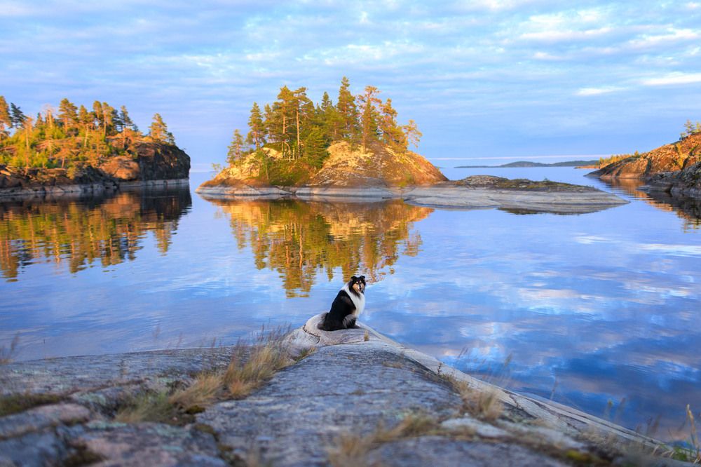 Photograph by Татьяна Фролова