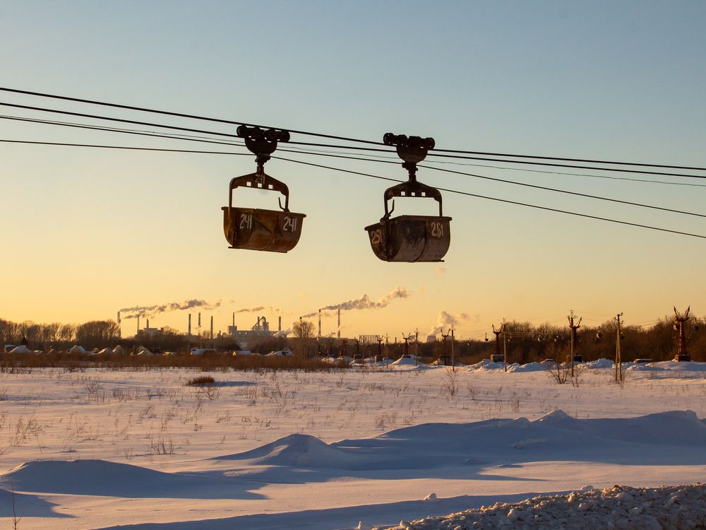 Фотография автора Дарья Рогозина