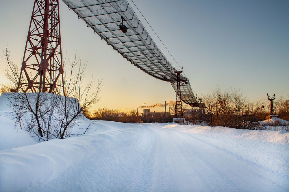 Фотография автора Дарья Рогозина