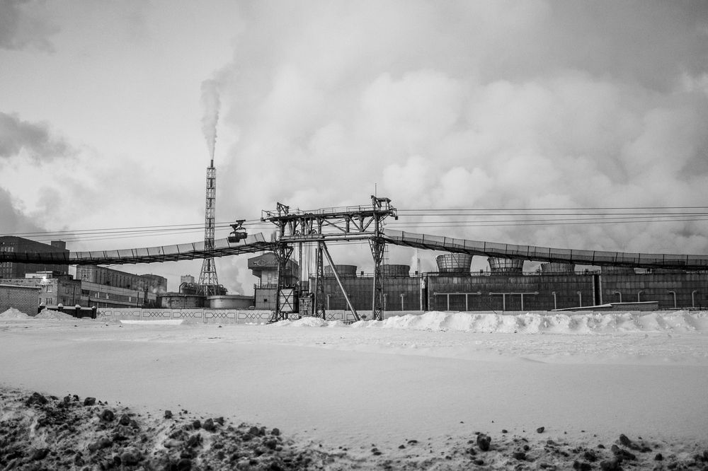 Фотография автора Дарья Рогозина