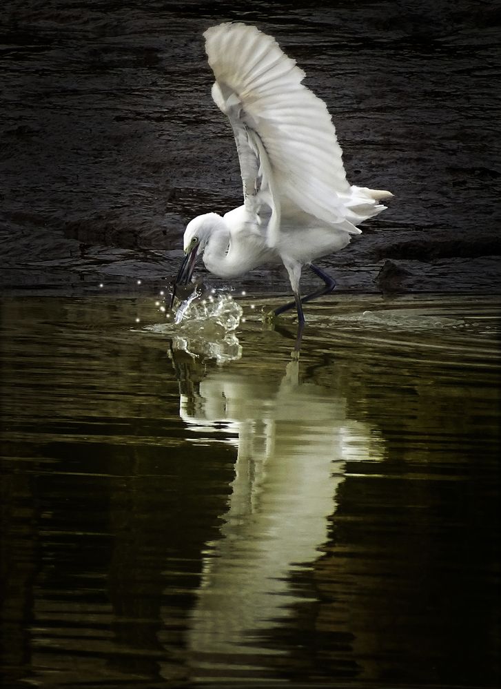 Photograph by Vy Van Bui