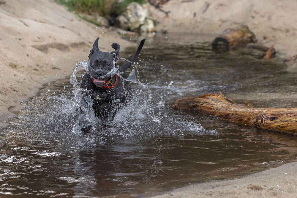 Фотография автора Dr_Plat