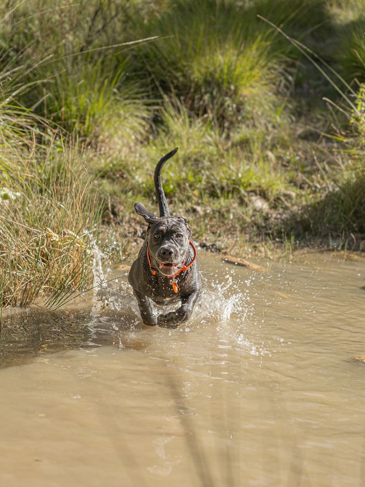 Фотография автора Dr_Plat