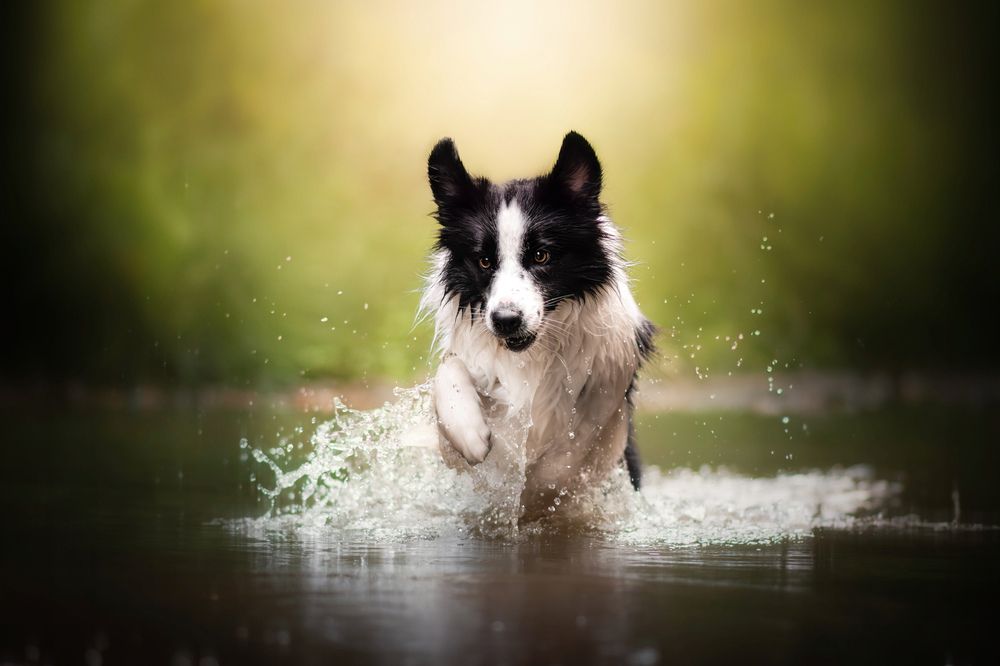 Photograph by Barbora Holinková