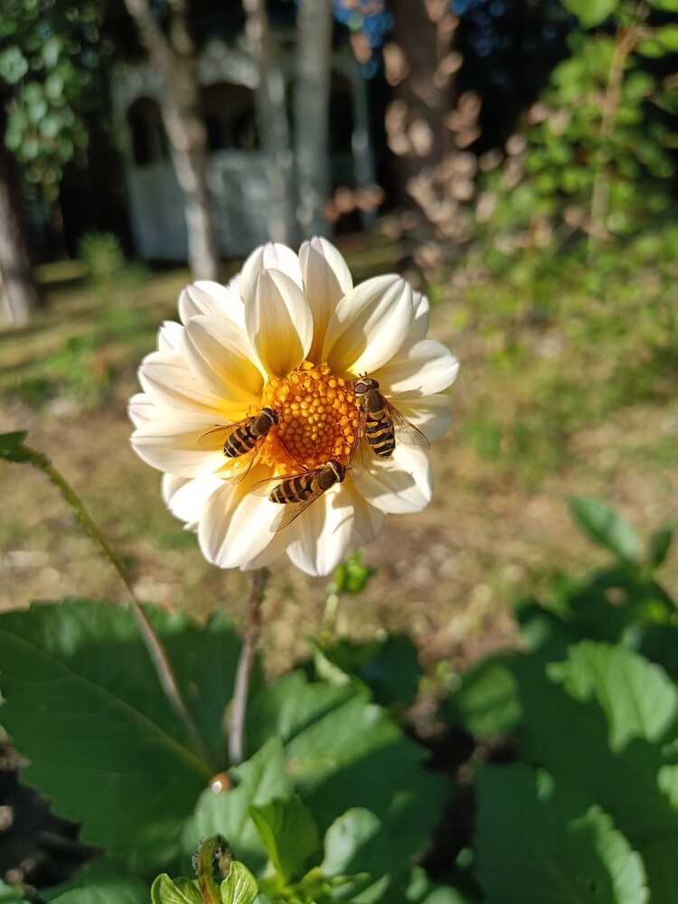 Photograph by Наталья Билай