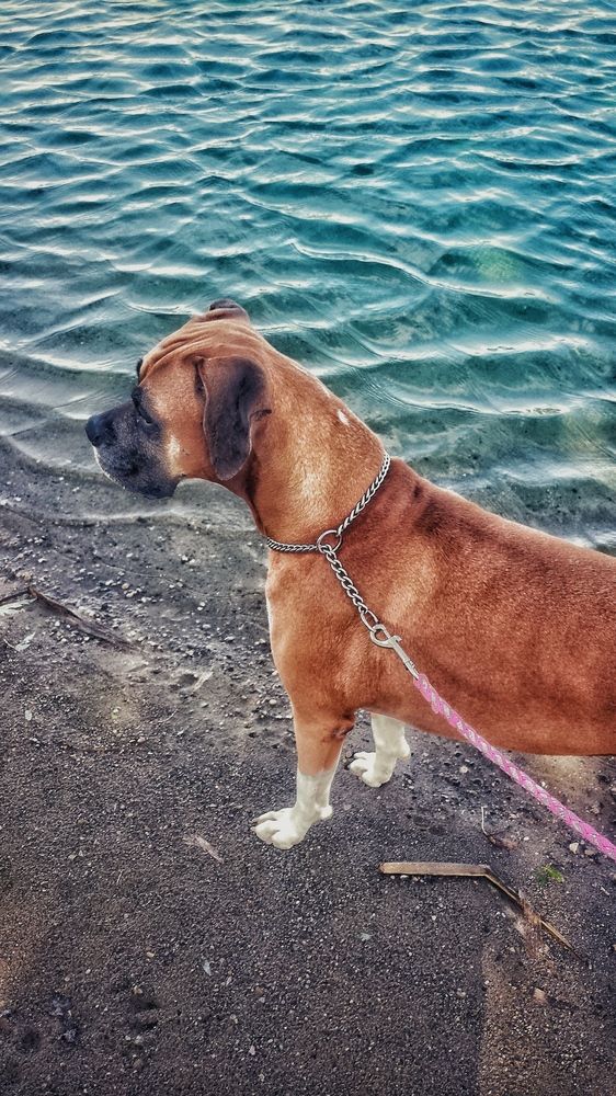 Photograph by Tyler Dewees