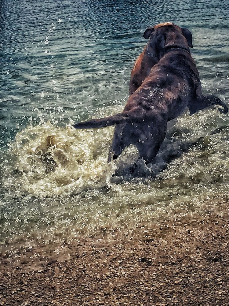 Photograph by Tyler Dewees