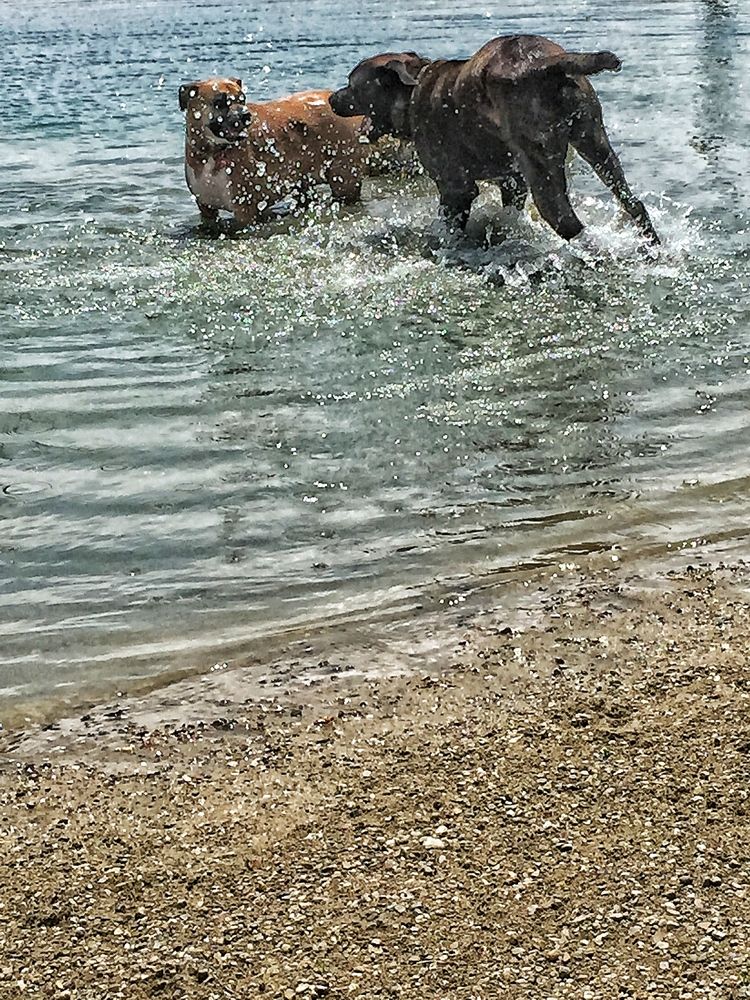 Photograph by Tyler Dewees