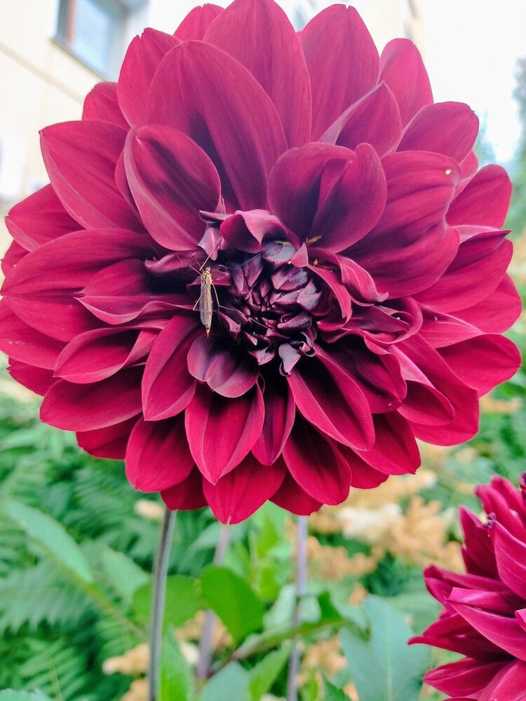 Photograph by Наталья Билай