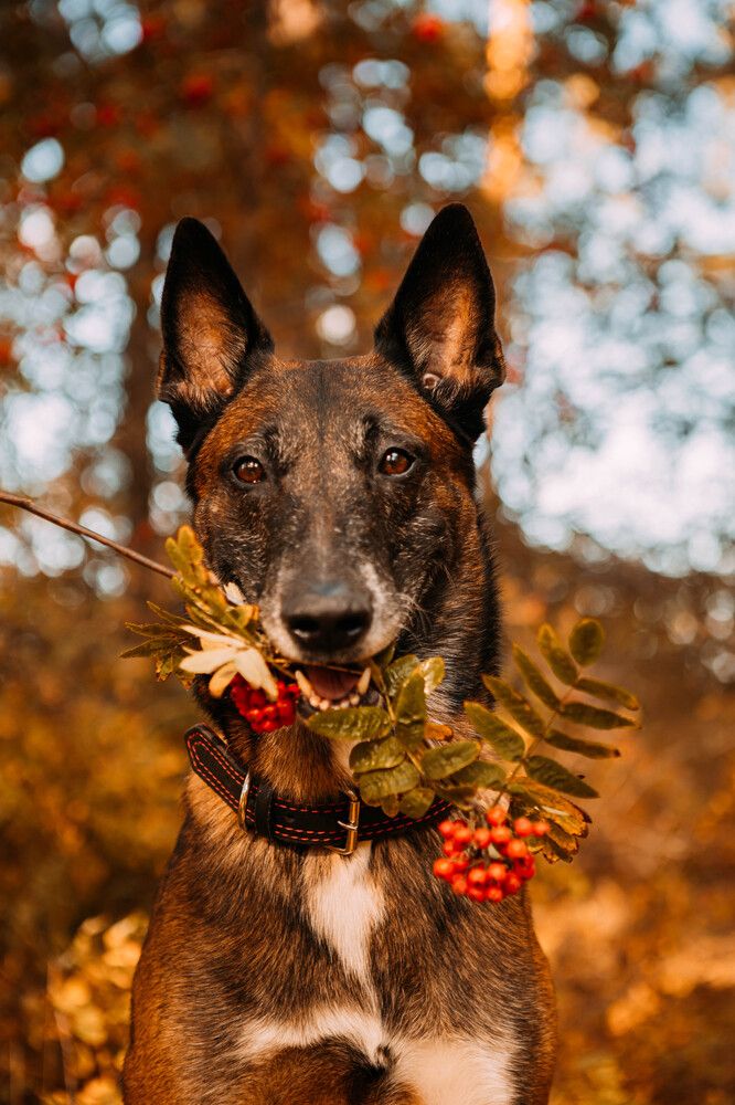 Photograph by Ольга Кискина