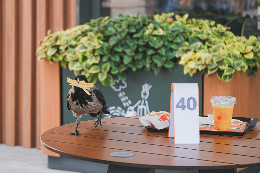 Фотография автора Александр Высоцкий